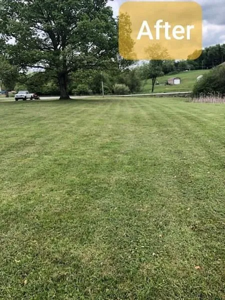 Affordable yard maintenance experts serving Morgantown, WV - Mountain Top Landscaping