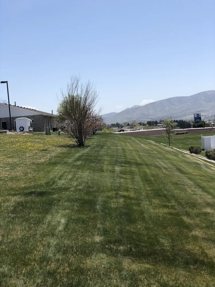 Affordable lawn care service in Pocatello, ID by Mountain Top Lawn Care