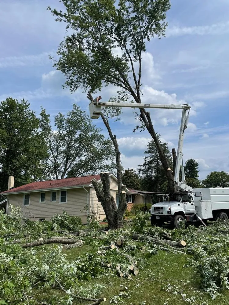 Professional outdoor landscaping experts serving Culpeper, VA - Mountain Top Tree Service