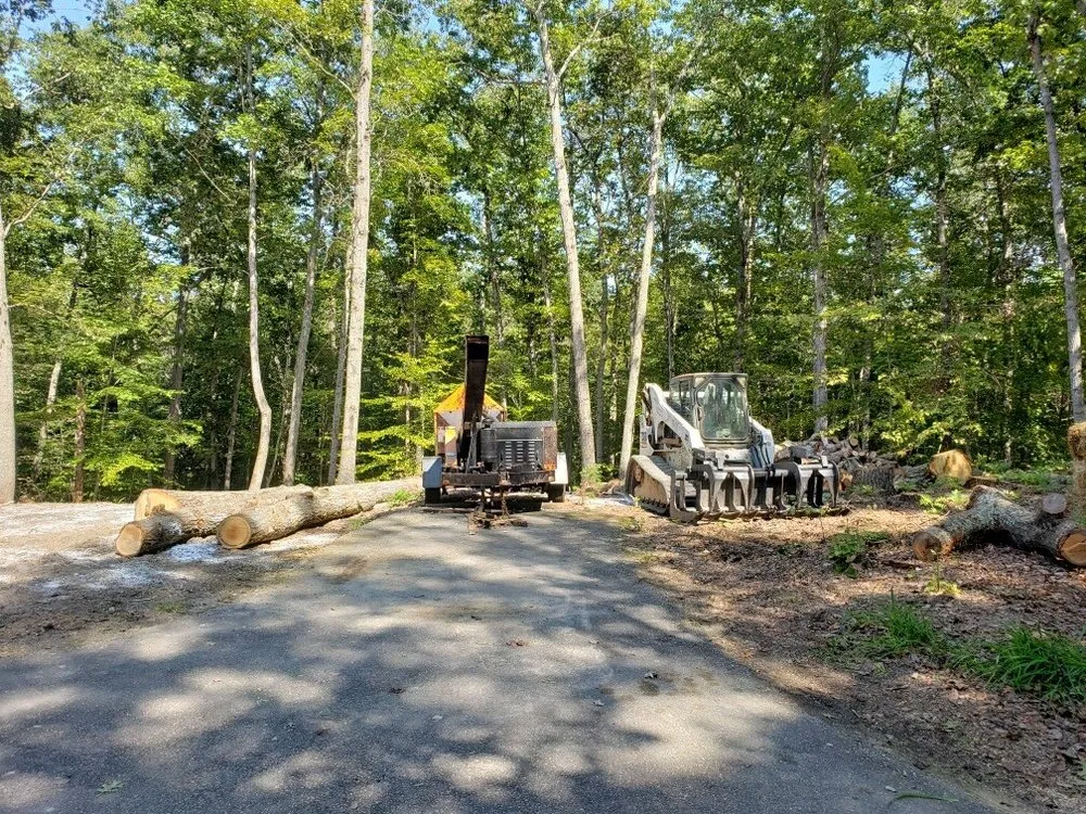 Affordable yard maintenance experts serving Culpeper, VA - Mountain Top Tree Service