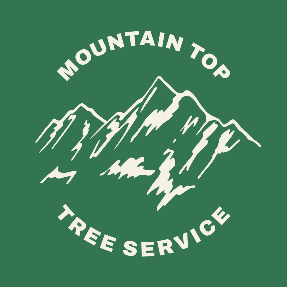Affordable yard cleanup service in Culpeper, VA - Mountain Top Tree Service