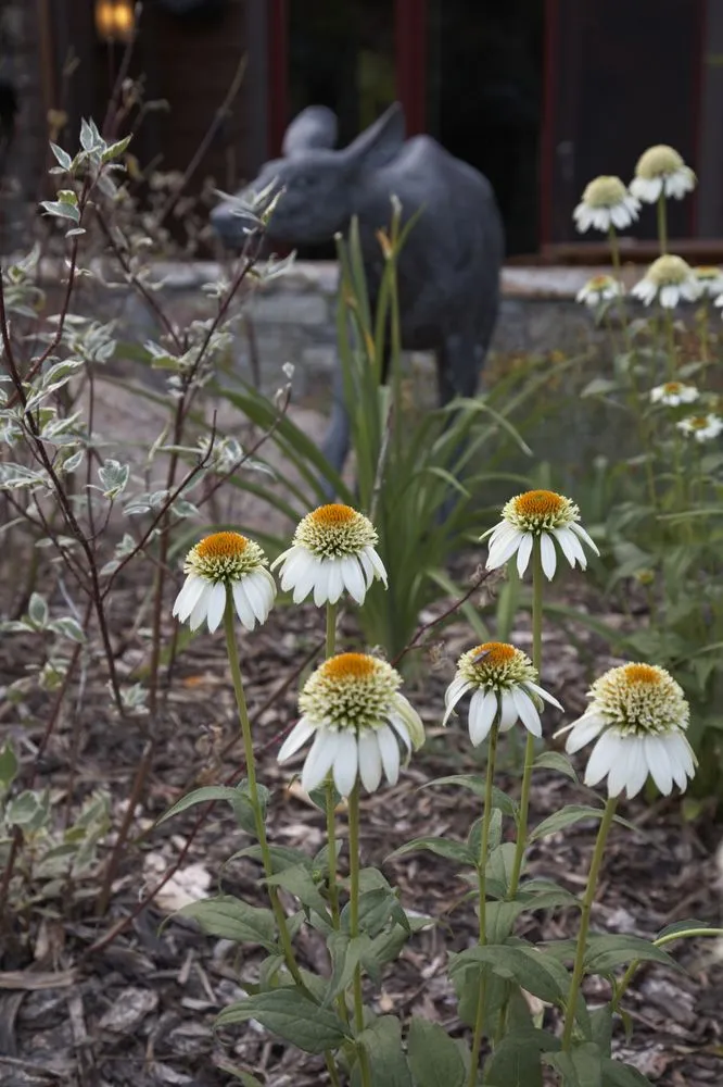 Custom yard maintenance in Kamas, UT by Mountain Valley Landscape