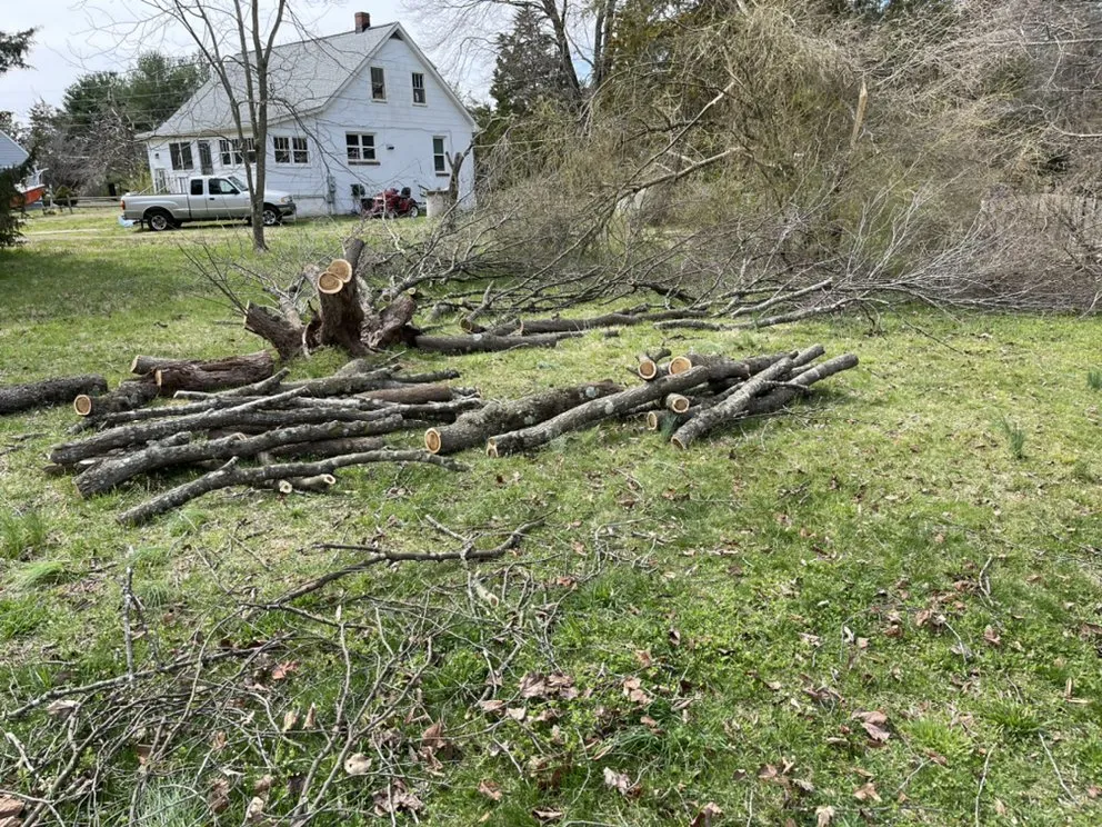 Reliable landscaping services in Fredericksburg, VA by Mountain Valley Landscaping