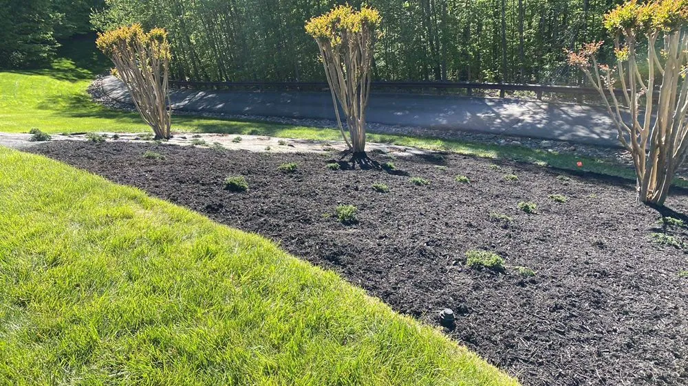 Trusted lawn mowing service in Fredericksburg, VA by Mountain Valley Landscaping