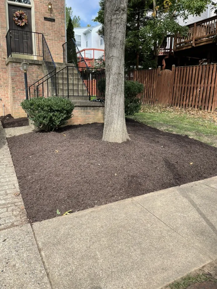 Reliable lawn care service in Fredericksburg, VA by Mountain Valley Landscaping