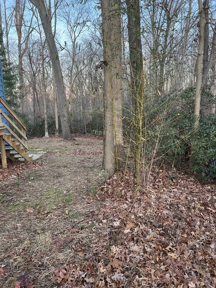 Affordable yard cleanup service in Fredericksburg, VA - Mountain Valley Landscaping