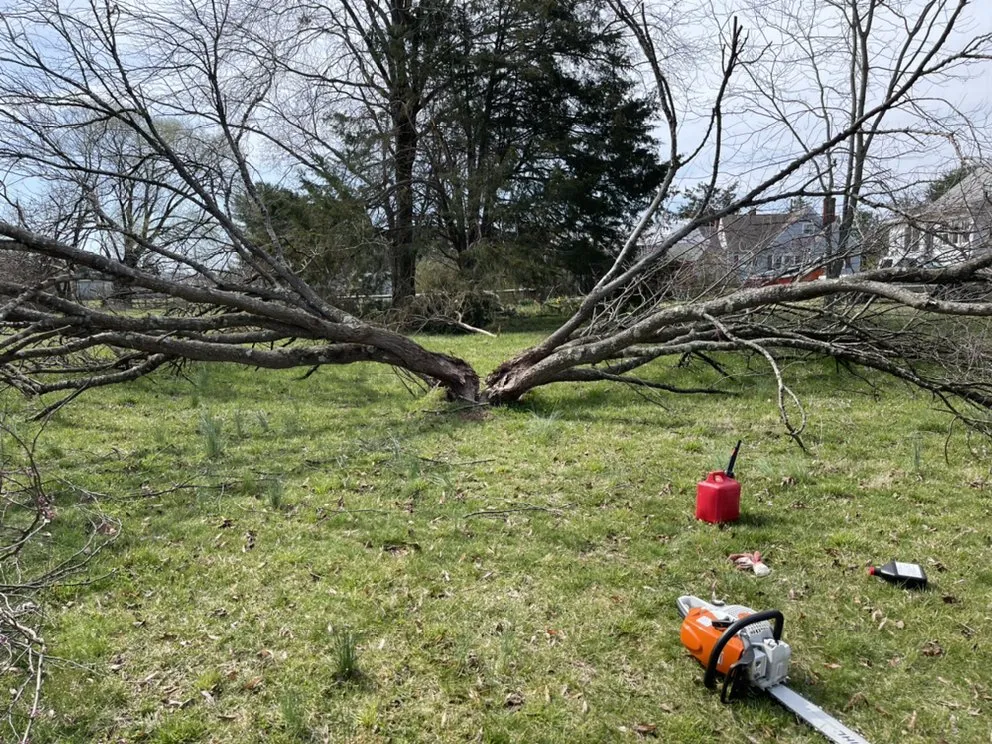 Professional lawn mowing service experts serving Fredericksburg, VA - Mountain Valley Landscaping