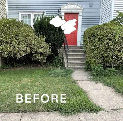 Mountain Valley Landscaping Logo