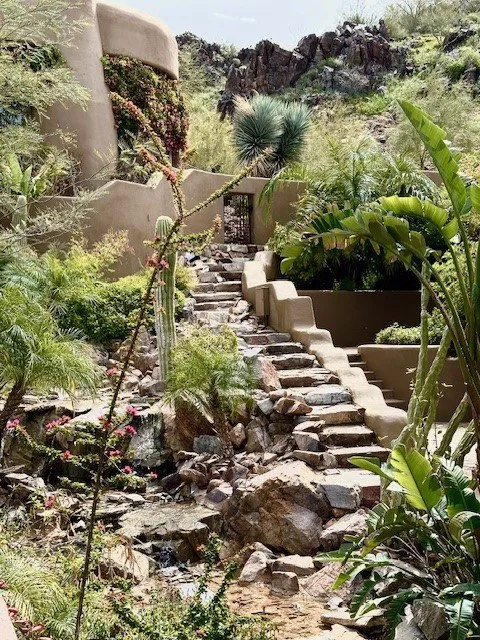 Affordable yard cleanup service experts serving Phoenix, AZ - Mountain Valley Landscaping