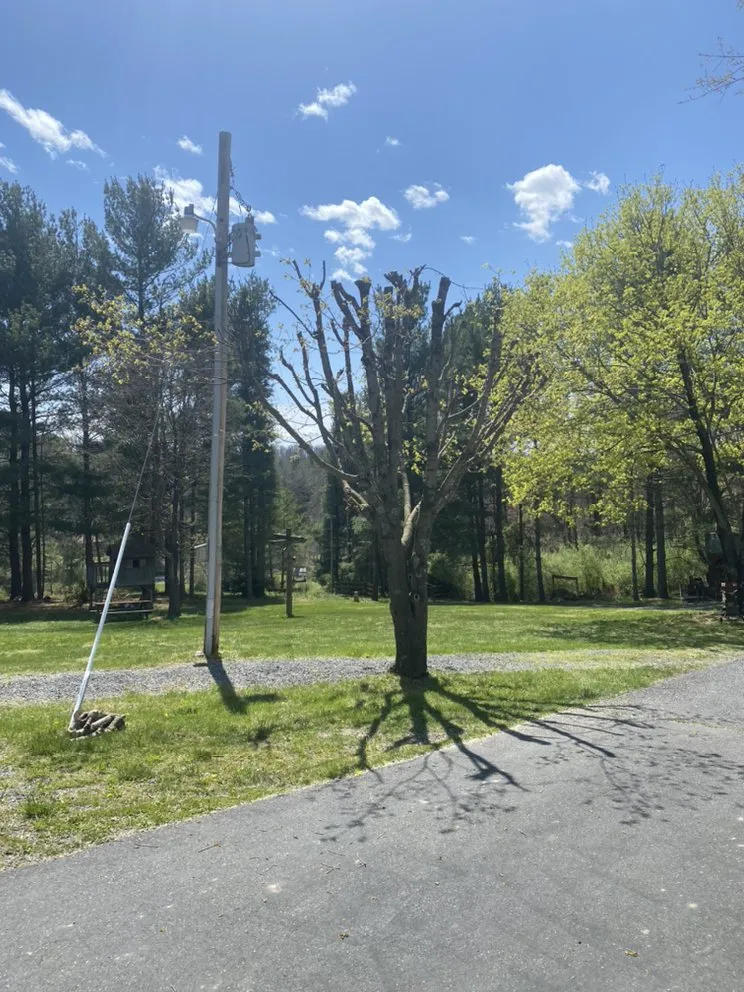 Local residential landscaping experts serving Goshen, VA - Mountain Valley Mowing