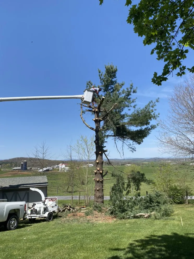 Local landscaping services in Goshen, VA - Mountain Valley Mowing