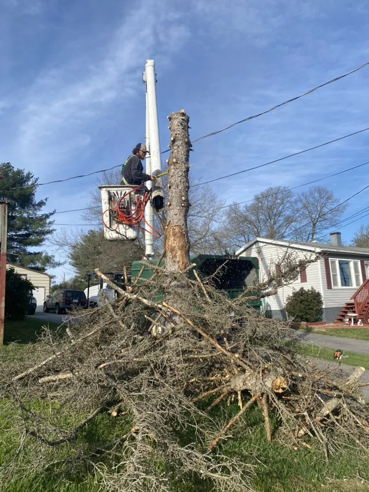 Professional yard cleanup service in Goshen, VA - Mountain Valley Mowing