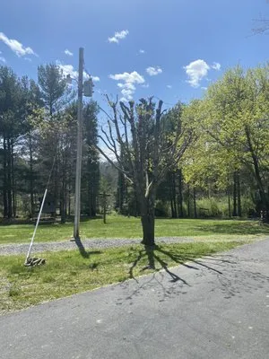 Mountain Valley Mowing