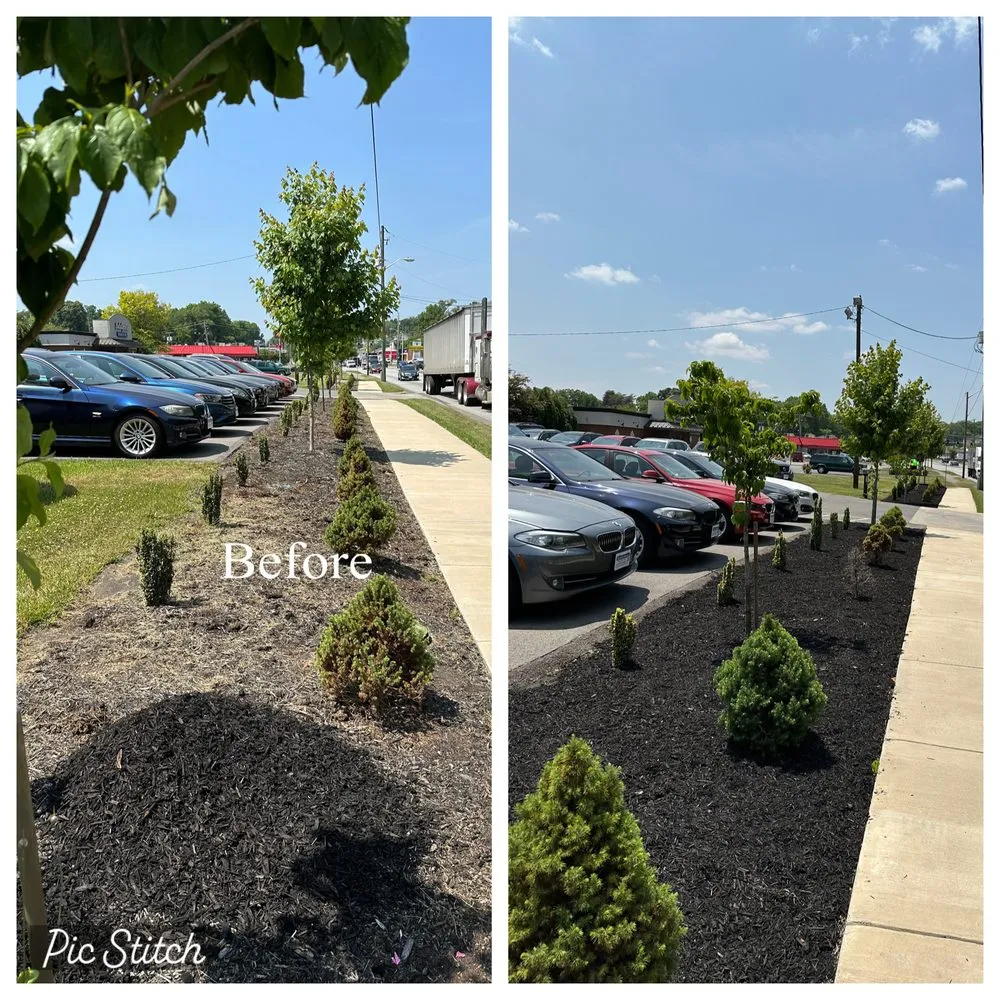 Custom landscaping services experts serving Rocky Mount, VA - Mountain Valley Scape