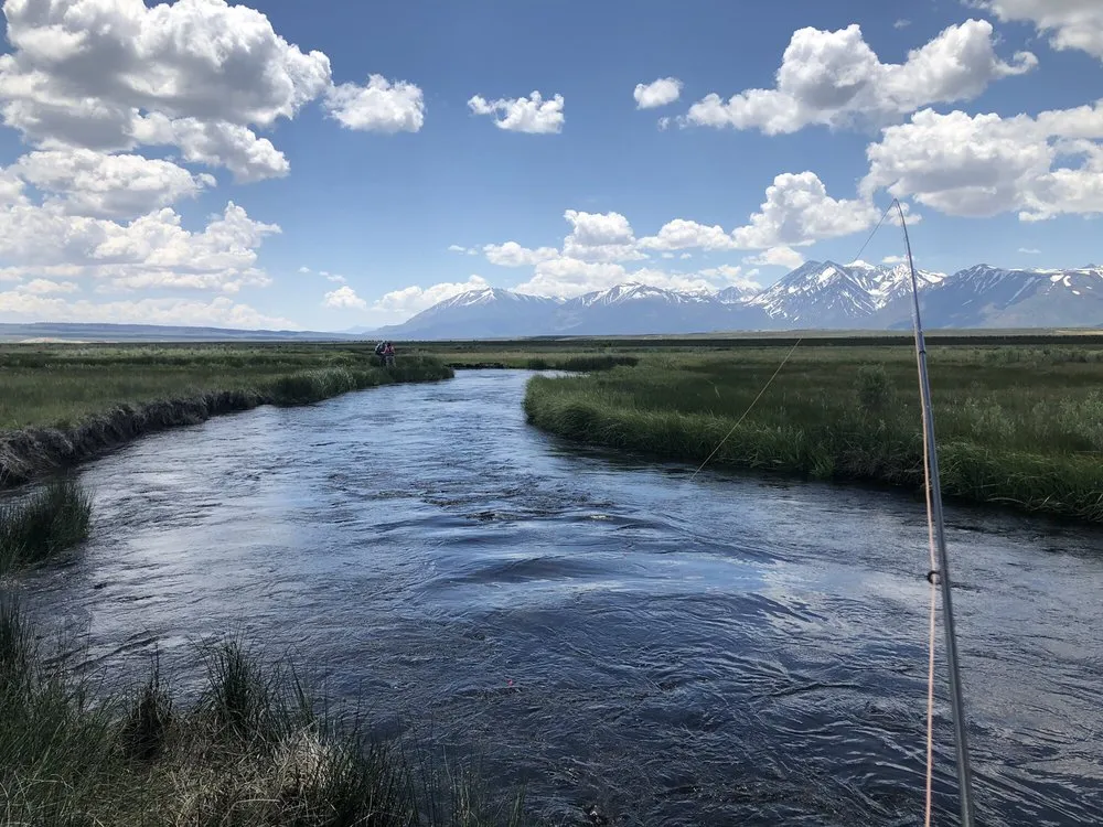 Professional residential landscaping experts serving Mammoth Lakes, CA - Mountain View Absentee Homeowners Service