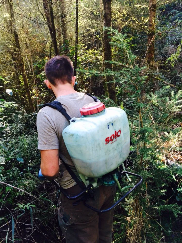 Custom landscape design for homes in Sheridan, OR by Mountain View Forestry