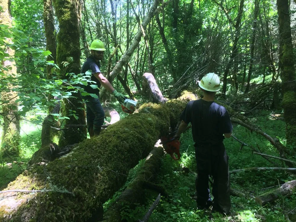 Local landscaping services for homes across Sheridan, OR - Mountain View Forestry