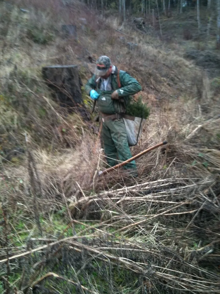 Local landscaping services in Sheridan, OR - Mountain View Forestry