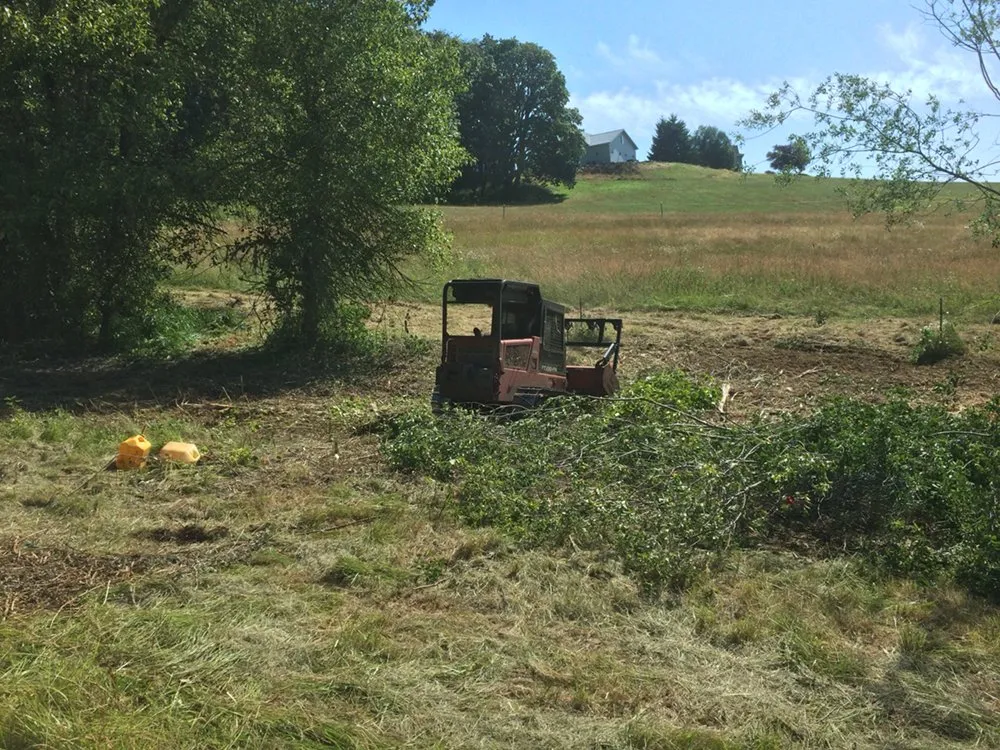 Trusted landscape design in Sheridan, OR - Mountain View Forestry