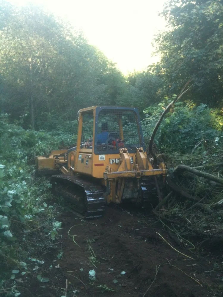 Custom lawn care service in Sheridan, OR - Mountain View Forestry