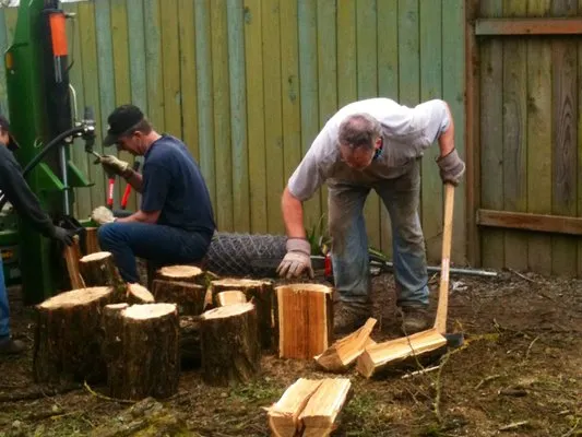 Mountain View Forestry