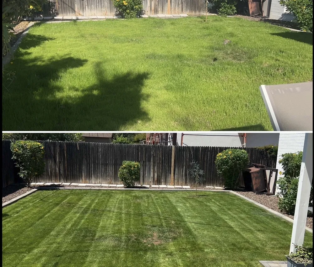 Affordable landscape installation for year-round maintenance across Phoenix, AZ - Mountain View Landscape and Design