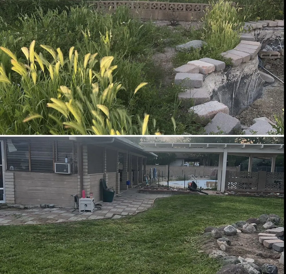 Reliable lawn care service experts serving Phoenix, AZ - Mountain View Landscape and Design