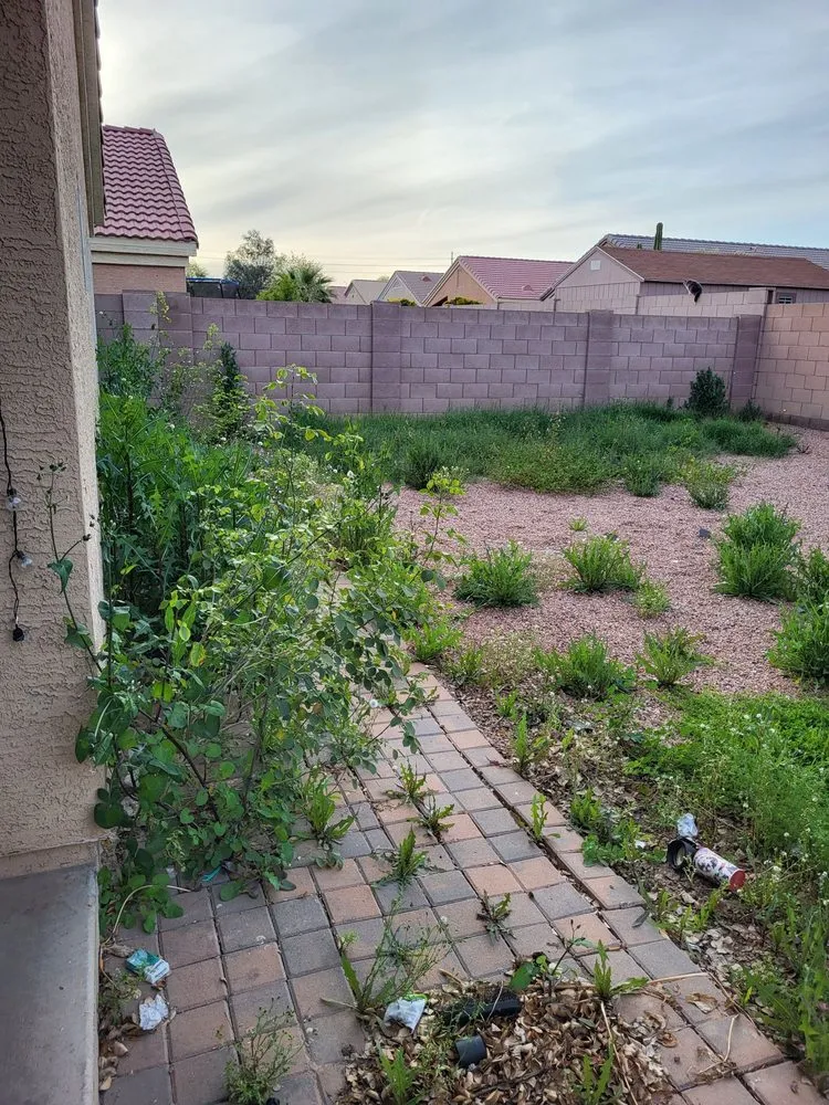 Top-rated landscape design in Phoenix, AZ - Mountain View Landscape and Design