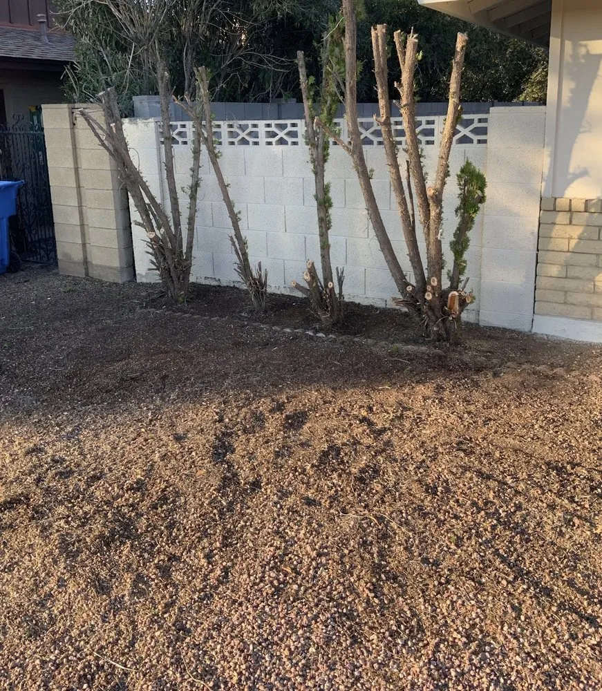 Professional lawn mowing service for outdoor upgrades in Phoenix, AZ by Mountain View Landscape and Design