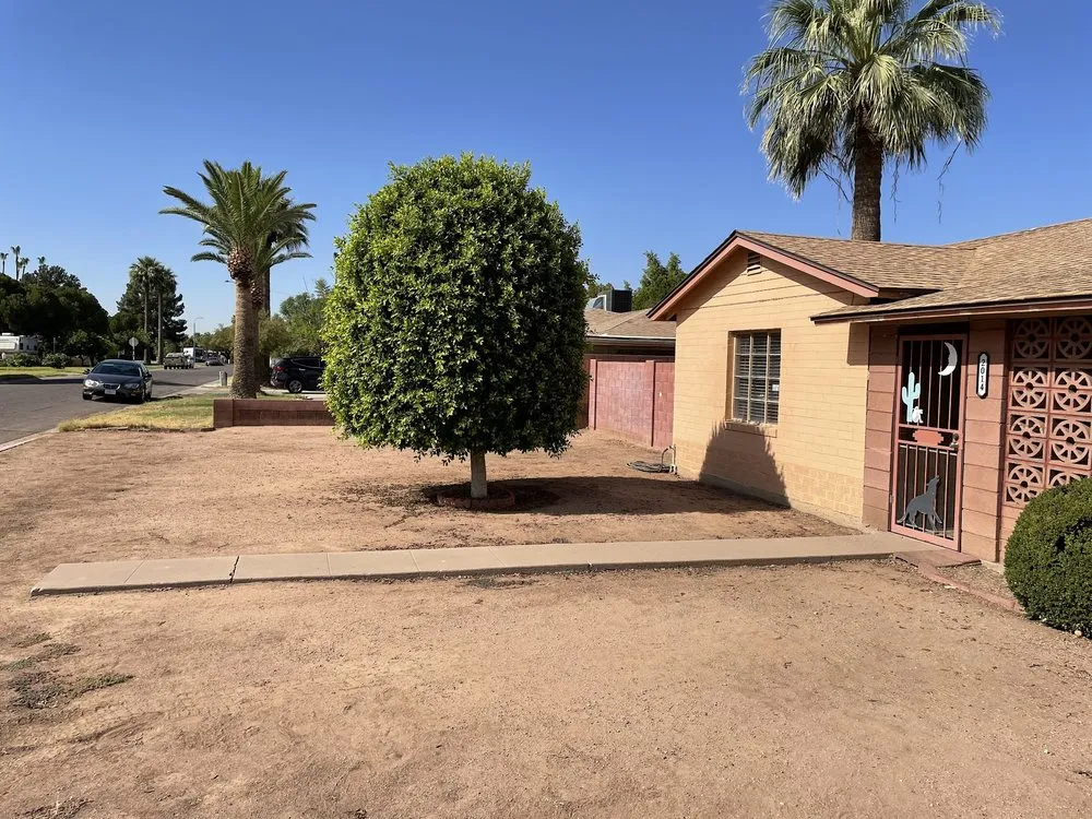 Reliable lawn mowing service near you across Phoenix, AZ - Mountain View Landscape and Design