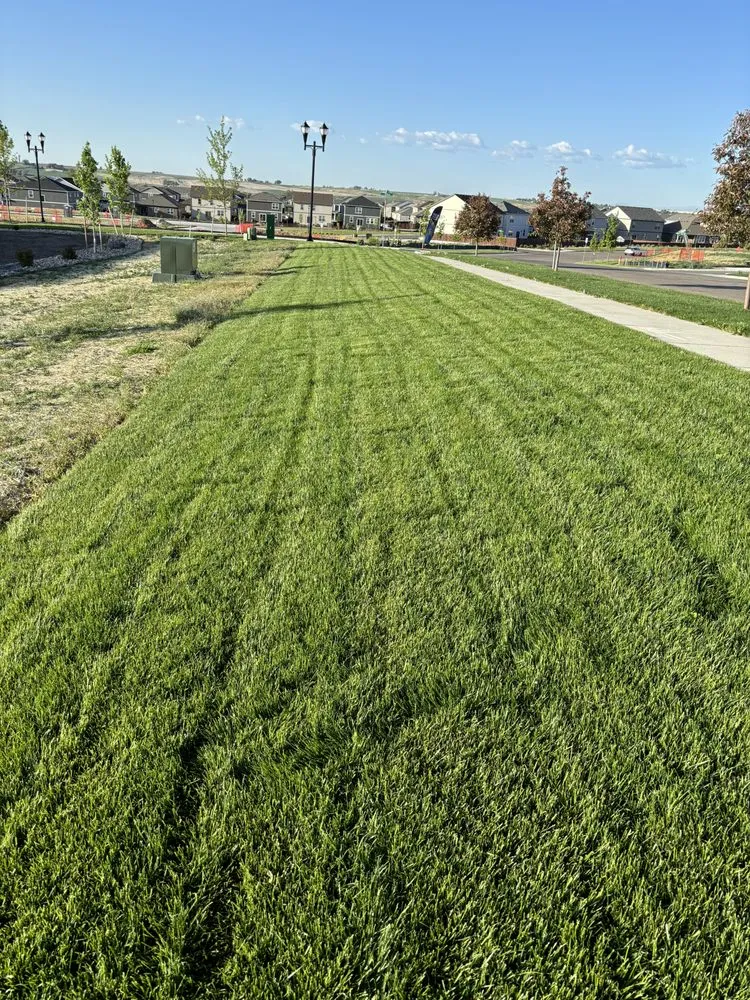 Expert landscape installation experts serving Henderson, CO - Mountain View Landscape and Sprinkler