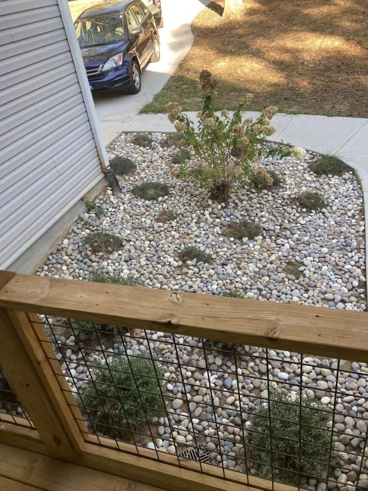 Affordable yard cleanup service in Cleveland, GA by Mountain View Landscaping