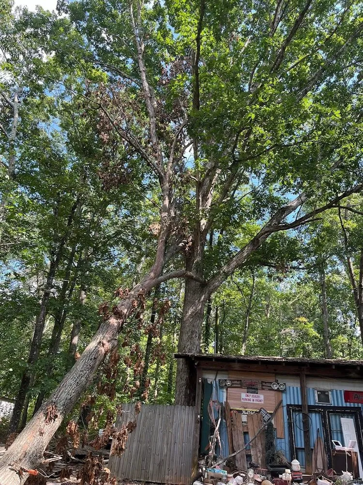 Local lawn mowing service in Cleveland, GA by Mountain View Landscaping