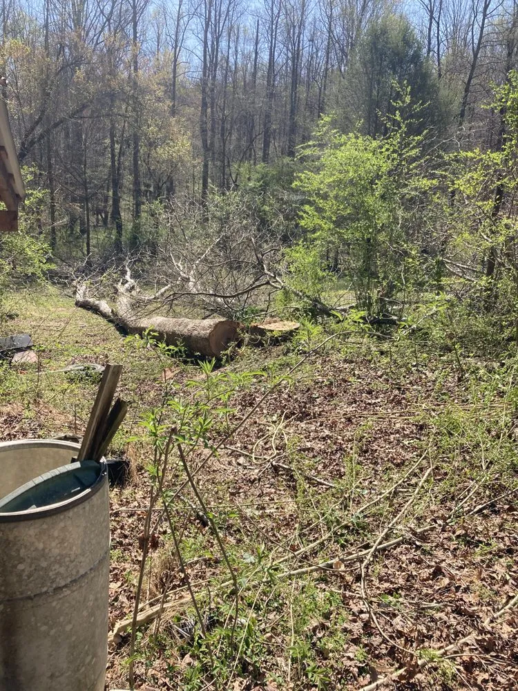 Expert yard cleanup service in Cleveland, GA by Mountain View Landscaping