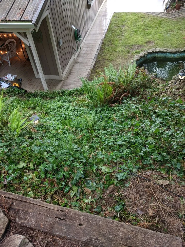 Local residential landscaping experts serving Graham, WA - Mountain View Landscaping