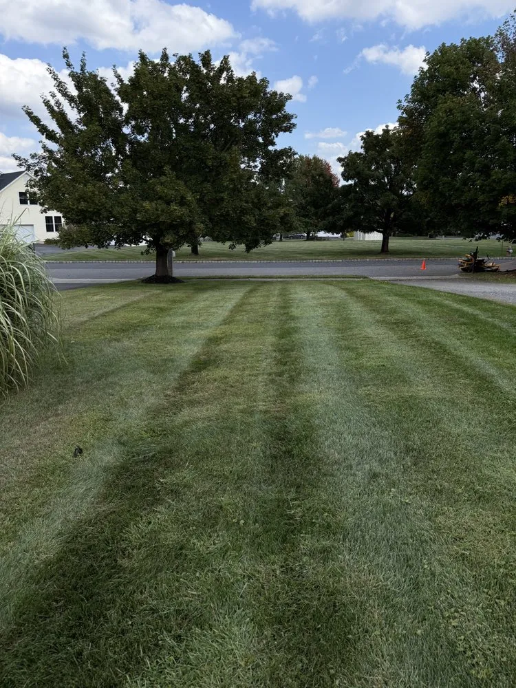 Top-rated landscape installation near you across Linden, NJ - Mountain View Landscaping