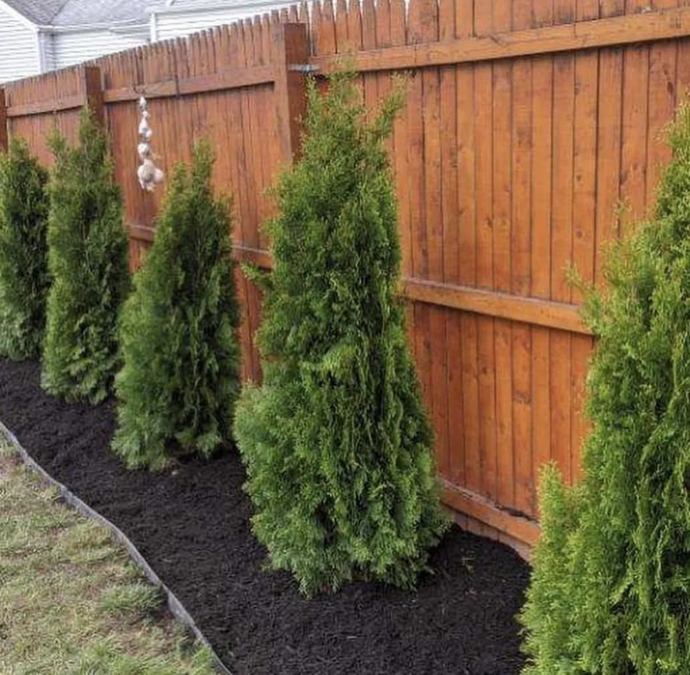 Trusted lawn care service for outdoor upgrades in Linden, NJ by Mountain View Landscaping