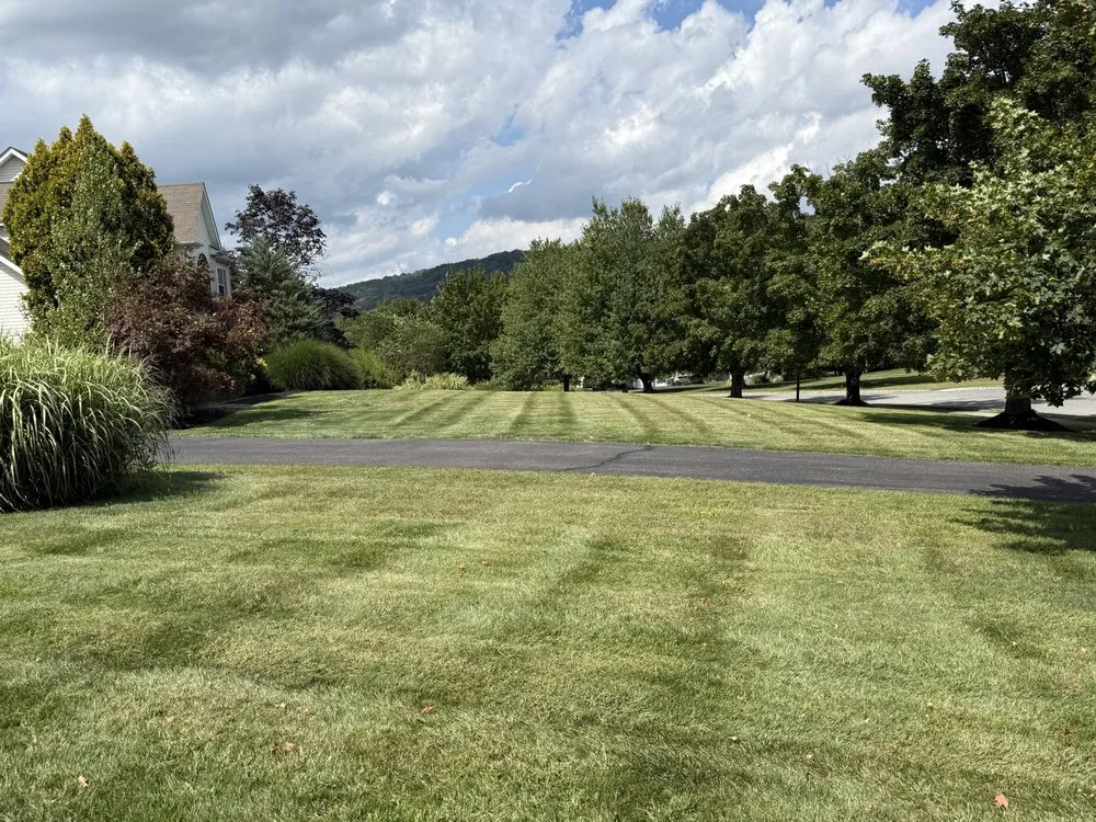 Custom garden landscaping for year-round maintenance in Linden, NJ by Mountain View Landscaping