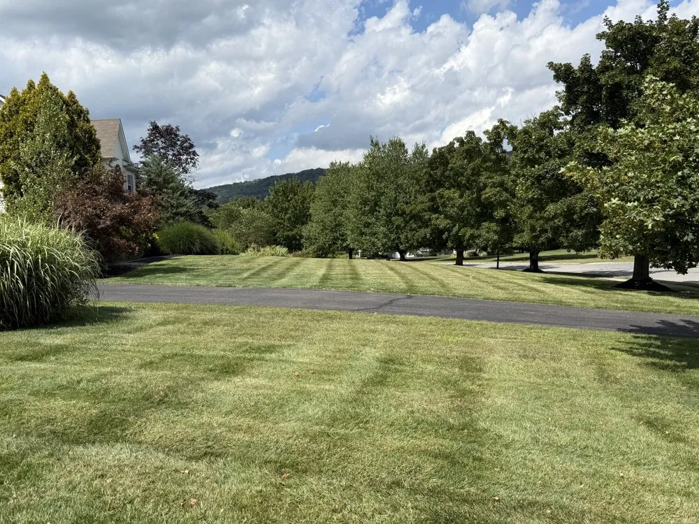 Local lawn mowing service experts serving Linden, NJ - Mountain View Landscaping