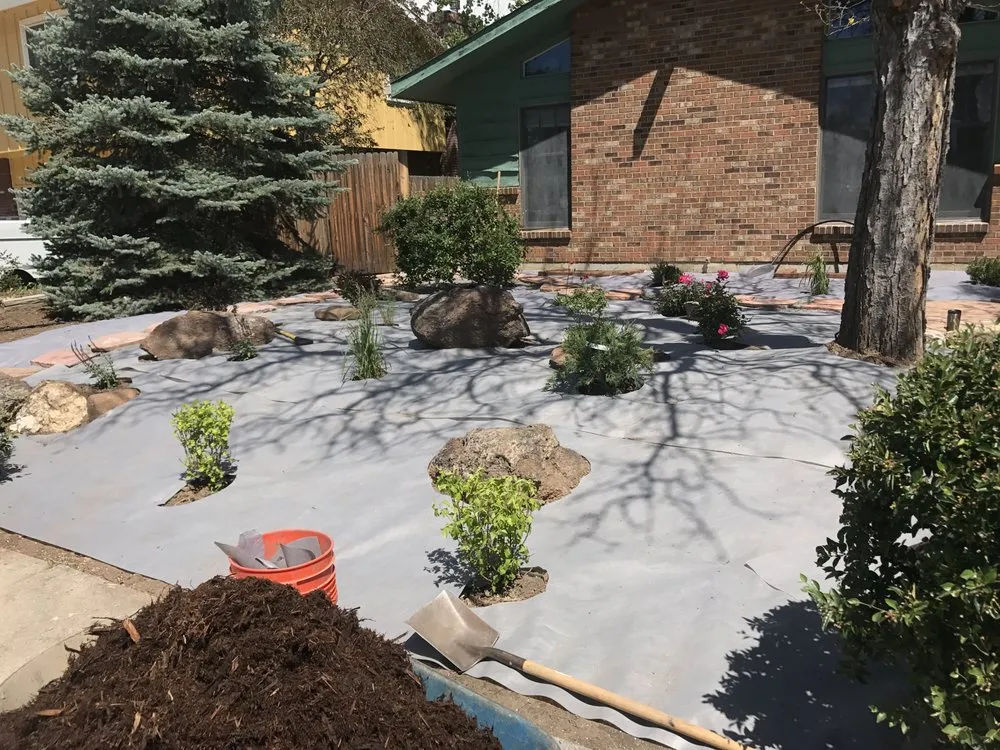 Top-rated yard cleanup service in Longmont, CO by Mountain View Landscaping