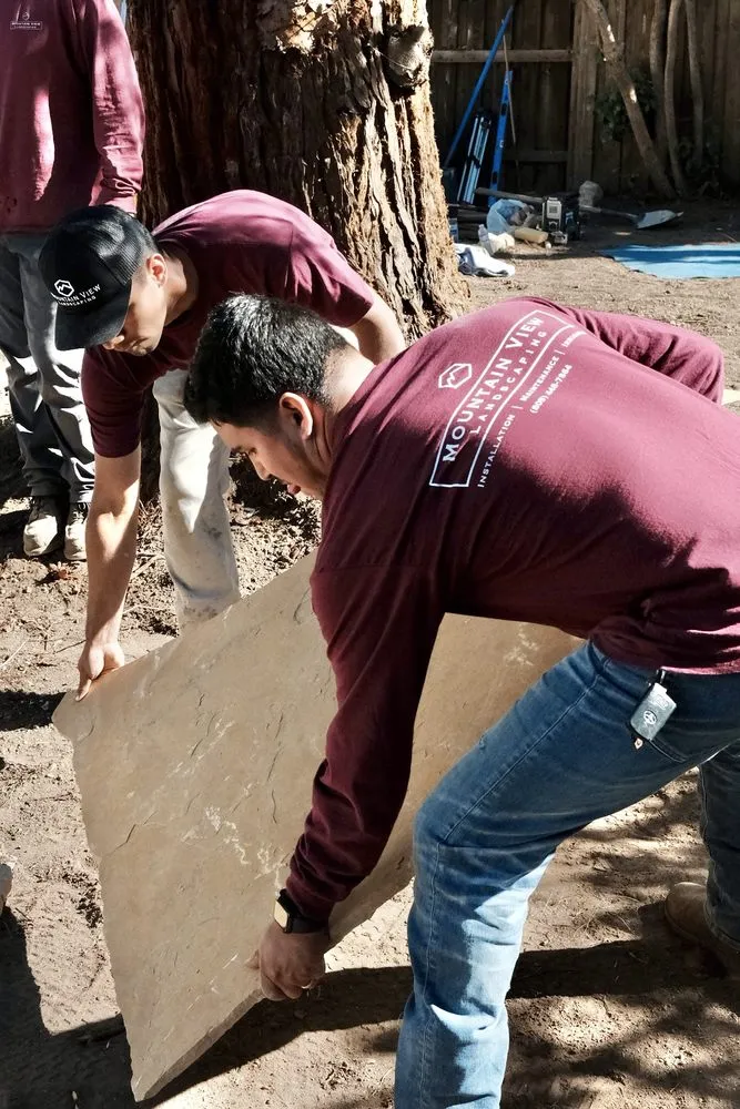 Expert yard cleanup service experts serving Santa Barbara, CA - Mountain View Landscaping