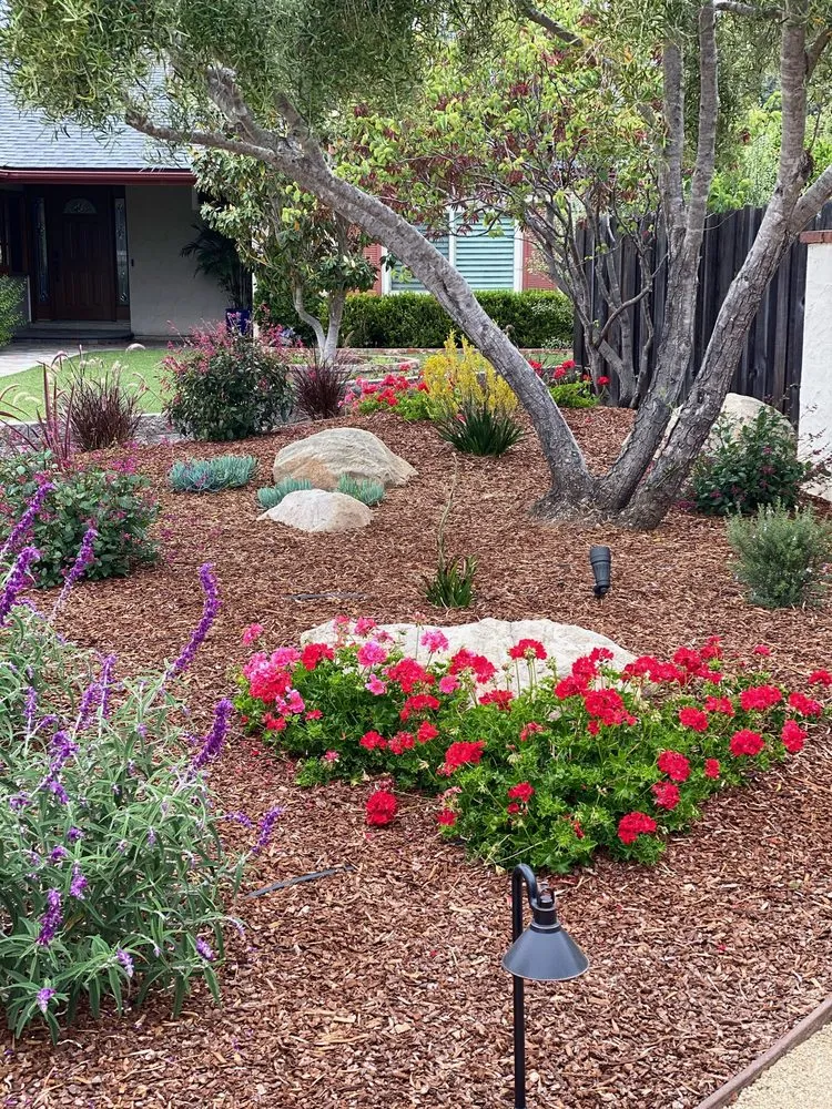 Local yard cleanup service in Santa Barbara, CA by Mountain View Landscaping