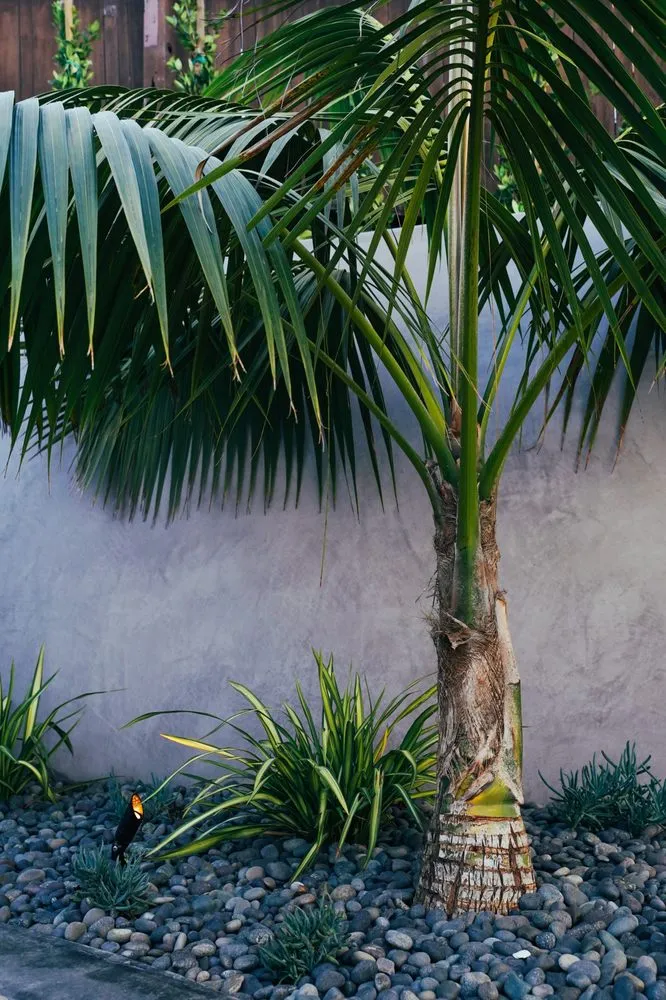 Professional garden landscaping experts serving Santa Barbara, CA - Mountain View Landscaping