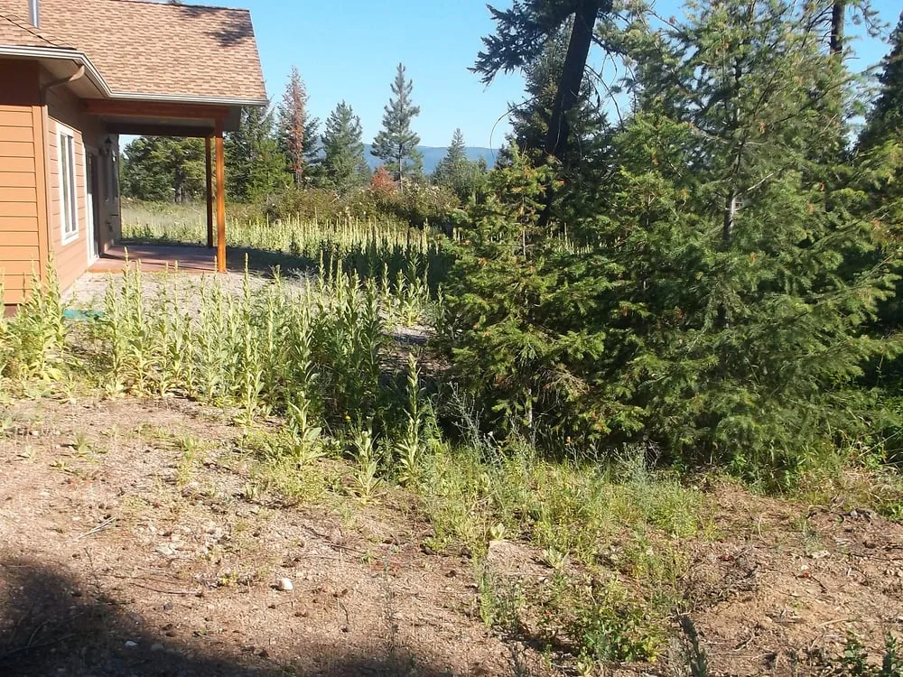 Local landscape design in Spirit Lake, ID by Mountain View Landscaping