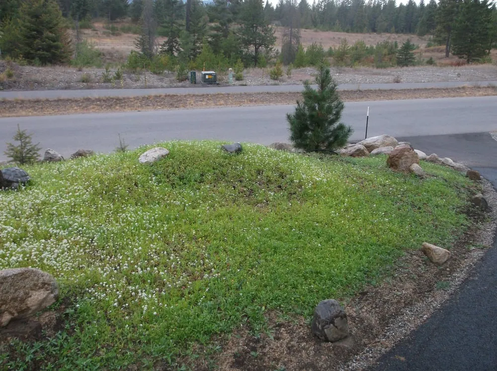 Professional residential landscaping in Spirit Lake, ID - Mountain View Landscaping