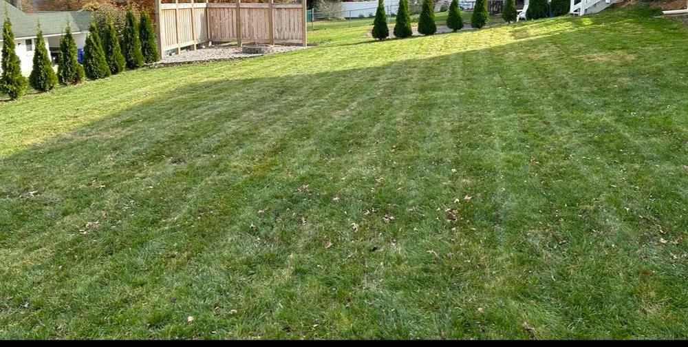 Trusted yard cleanup service in Valley Green, PA by Mountain View Landscaping