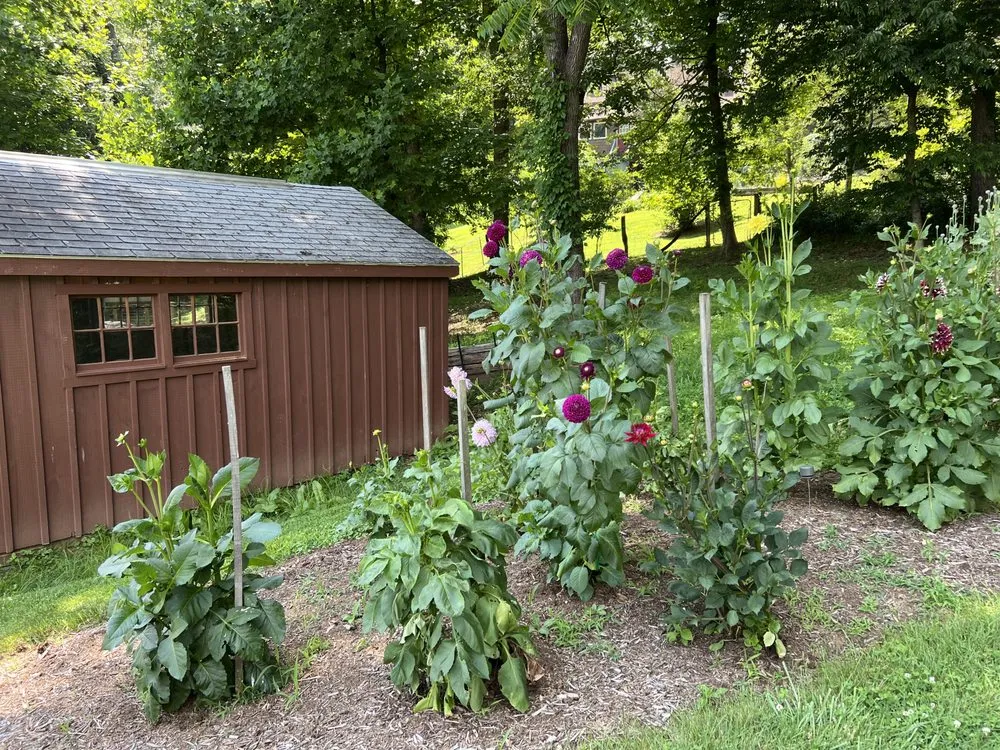 Trusted outdoor landscaping in Etowah, NC by Mountain View Lawn and Garden