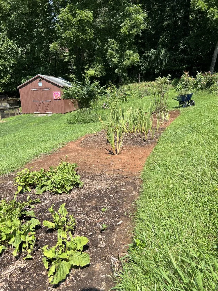 Affordable lawn care service in Etowah, NC - Mountain View Lawn and Garden