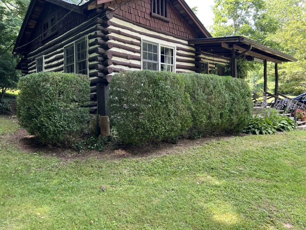 Trusted yard cleanup service for residential properties in Etowah, NC by Mountain View Lawn and Garden