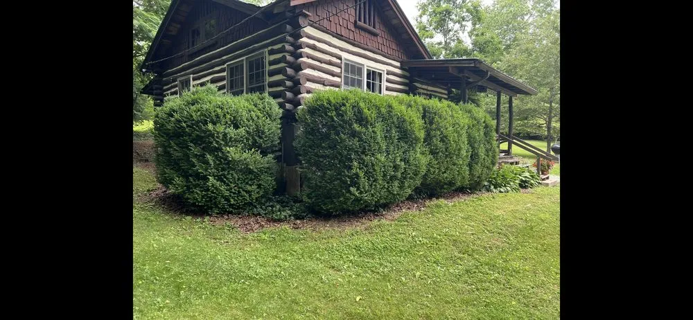 Local landscape installation for outdoor upgrades in Etowah, NC by Mountain View Lawn and Garden